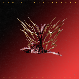 男生把困到女生困里视频
